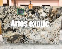 Đá Aries Exotic